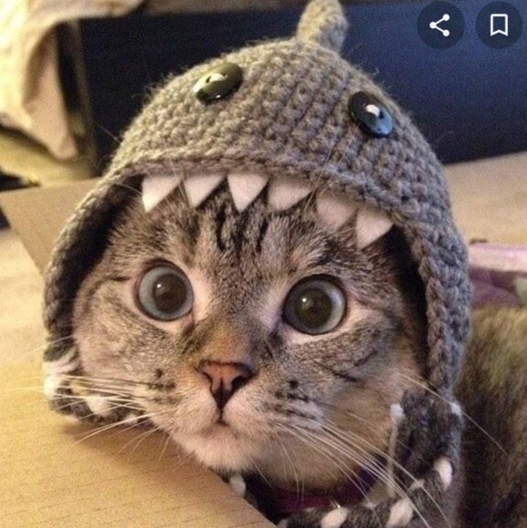 Meet your Posher, Ivanabdiel - Picture 1 of 1